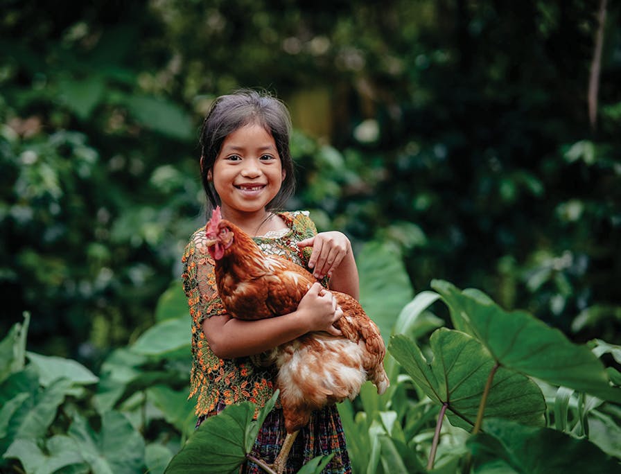 Give a chicken to a family